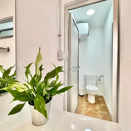 Teresitas Escape 펜션 San Andrés